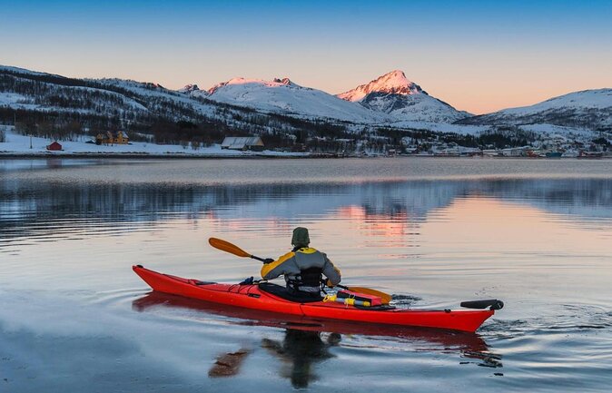 24hr Northern Lights & Whale Watching Cruise - Key points to know before booking