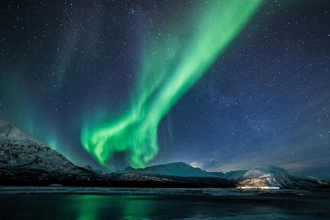 24hr Northern Lights & Whale Watching Cruise - The Skjervøya whale-watching day