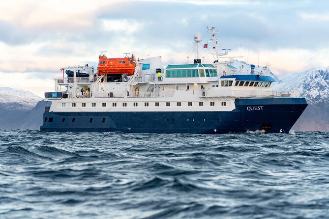24hr Northern Lights & Whale Watching Cruise - Starting at Tromsø harbor