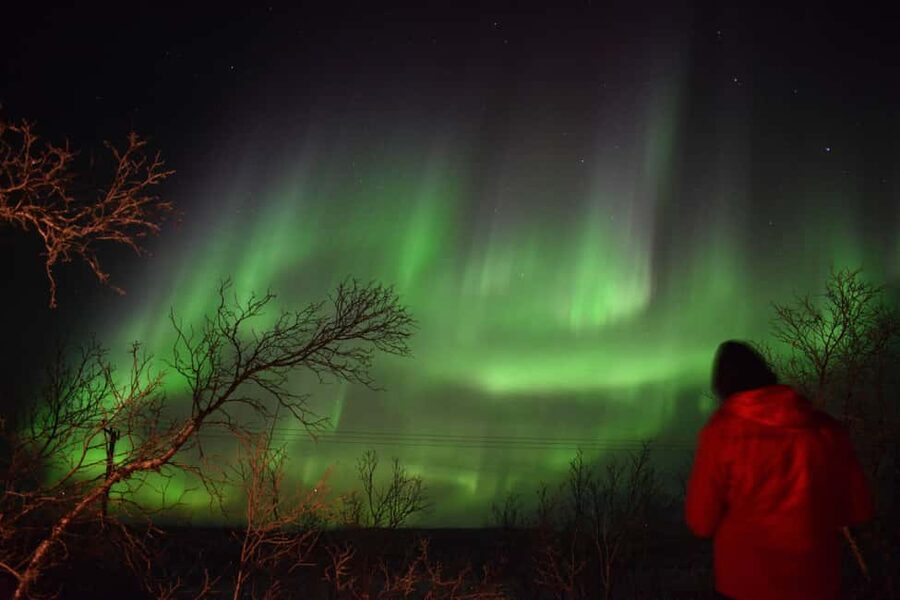 Abisko Arctic Ecology and Northern Lights Tour - Key details before you book