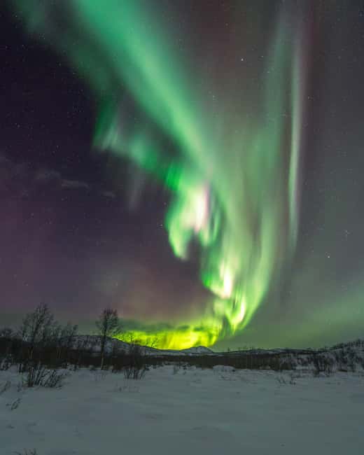 Abisko: Aurora Car Chasing Tour with Photographer - Who should book this experience