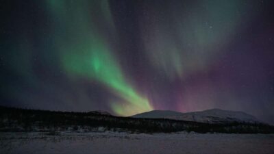 Northern Lights Hike with Husky Puppies
