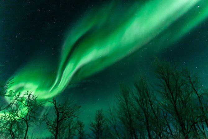 Abisko Northern Lights Tour with Photographer - Waiting outside with a campfire and hot drinks