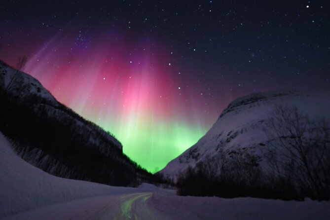 Adults Only Aurora Hunt with Wandering Owl - Photos: a useful bonus with a point to check