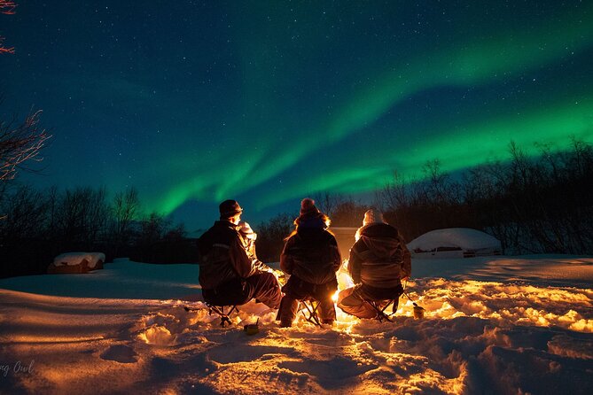 Adults Only Aurora Hunt with Wandering Owl - Skibotn and Dividalen: following inland clear skies