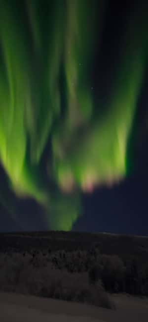 Alaska: Private Northern Lights Viewing Tour - The photography package adds real value