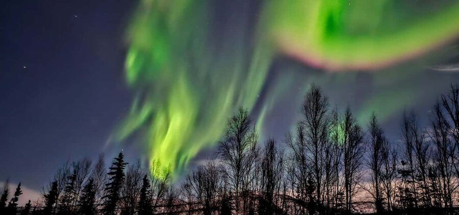 Alaska: Private Northern Lights Viewing Tour - Is $495 a fair price?