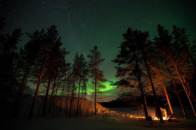 All inclusive - Northern Lights Hunt - Guides who shape the experience