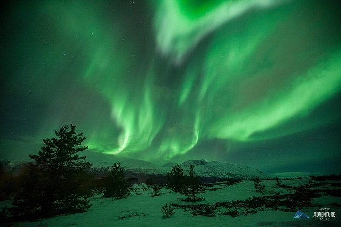 All inclusive - Northern Lights Hunt - Fjords, mountains, and the long wait