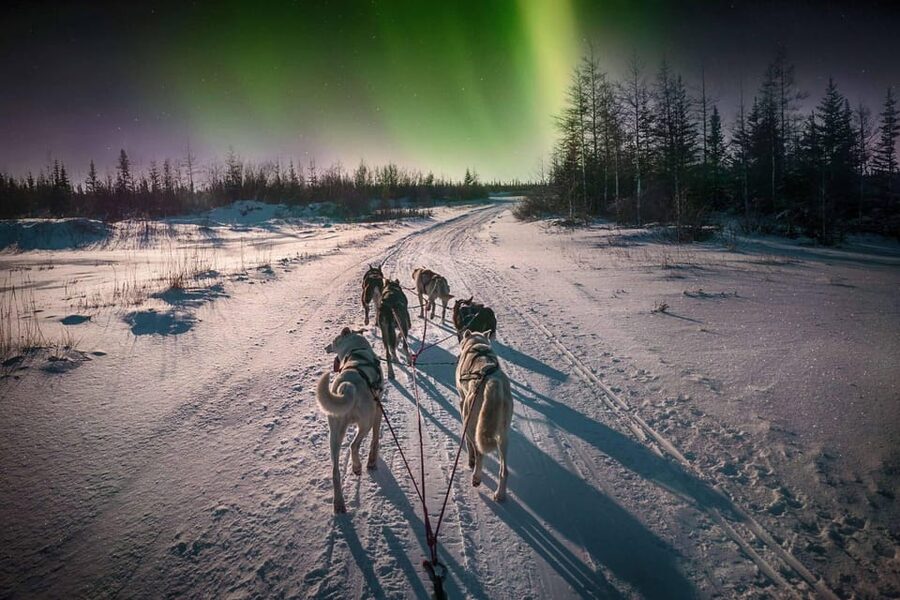 Alta: Dog Sledding Trip under the Northern Lights - Getting dressed for Arctic conditions