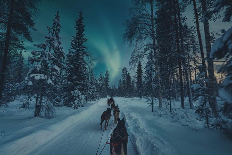 Alta: Dog Sledding Trip under the Northern Lights - What the northern lights add, and what they cannot promise