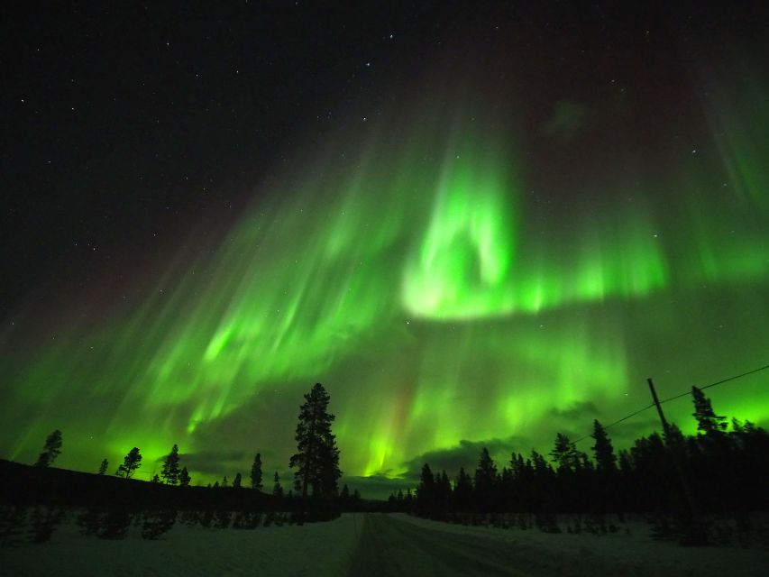 Alta: Small-Group Guided Northern Lights Tour - Key points at a glance
