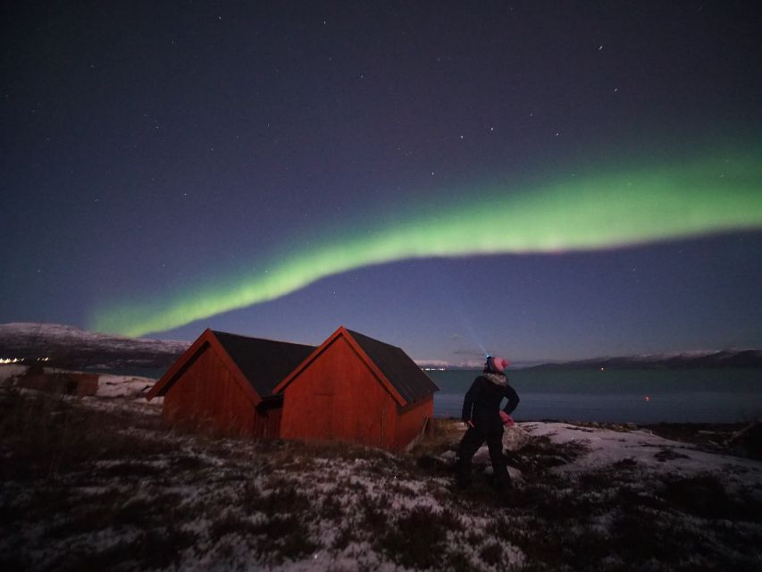 Alta: Small-Group Guided Northern Lights Tour - Why Alta works for an aurora hunt