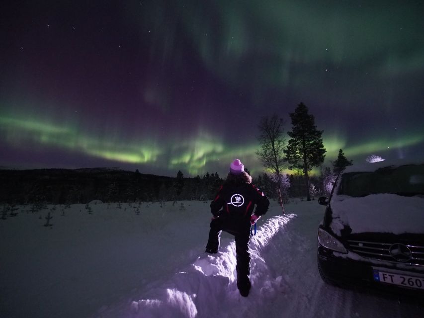 Alta: Small-Group Guided Northern Lights Tour - Warm suits, boots, and surviving the cold