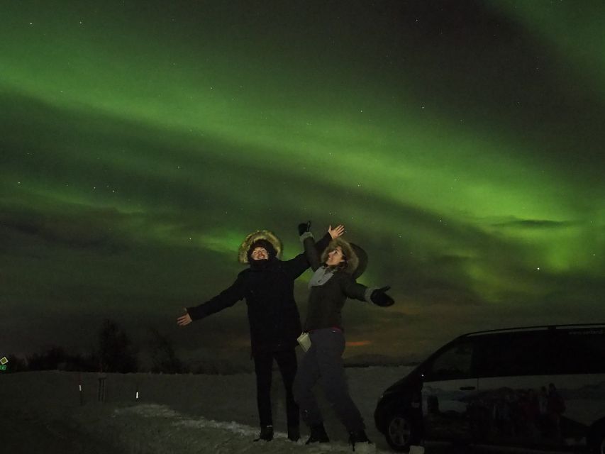 Alta: Small-Group Guided Northern Lights Tour - Price and overall value at $251
