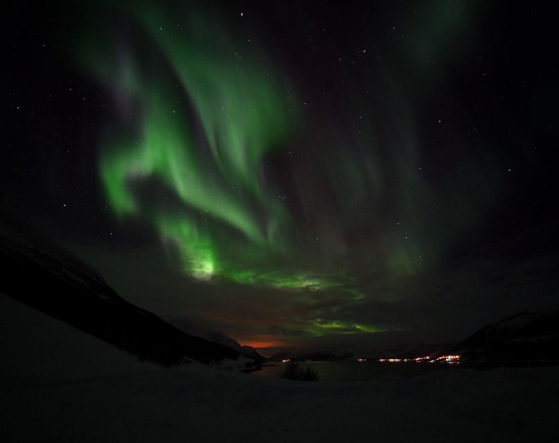 Alta: Small-Group Guided Northern Lights Tour - Who should book this Alta tour?