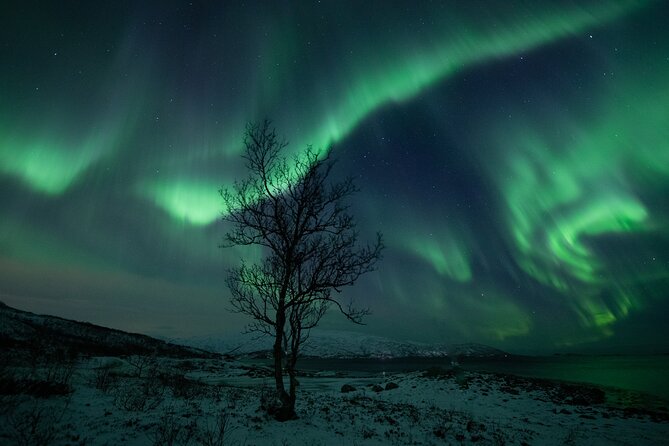 An All-Inclusive Tour - Aurora & Arctic Experience - Guides make the biggest difference