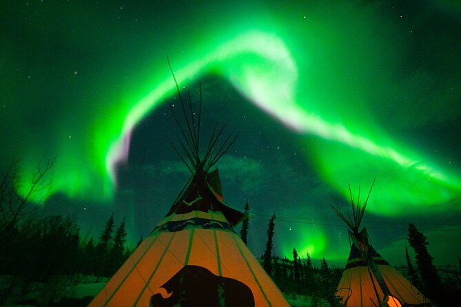 Arctic Day: Aurora Viewing Tour | late night - Photography help, tripods, and souvenir images