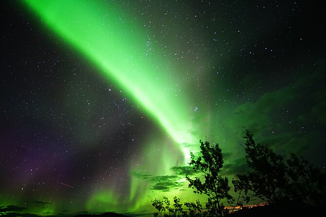 Arctic Day: Aurora Viewing Tour | late night - What $125.39 buys you