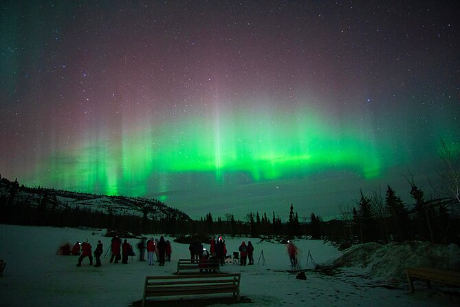 Arctic Day: Aurora Viewing Tour | late night - Cold-weather planning that actually helps