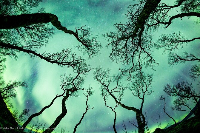 Aurora Adventure Tour with Creative Vacations - What the 7 to 9 hours actually involve