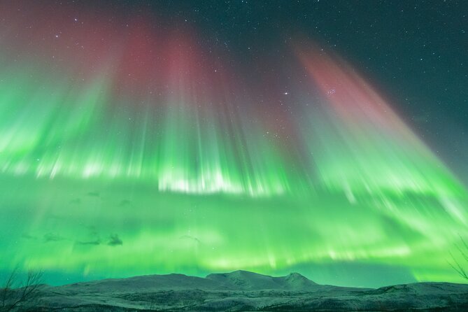Aurora Hunt with the campfire and professional photographer - Thermal suits help, but bring your own accessories
