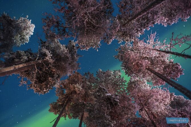 Aurora Photography Tour 3 HOURS - Guides who make the difference