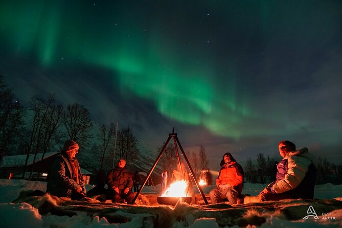 Aurora Safari Chase by big bus, free Photos, toilet onboard - Key points before you book