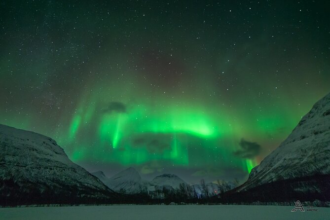 Aurora Safari Minibus, private locations all around the region - Is $193.13 good value?
