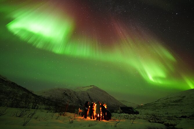 Aurora tour with free portrait and bonfire - Who should book this Tromsø aurora tour?