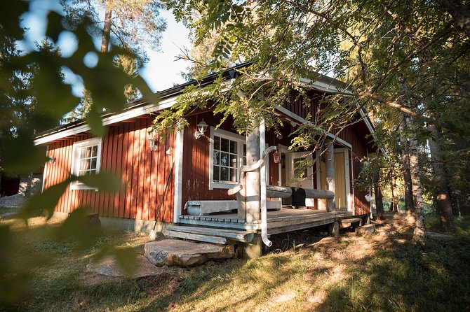Best Of Lapland: Sauna, Ice swimming, Dinner & Northern Lights - Ice swimming without trying to be a hero