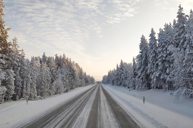 Best Of Lapland: Sauna, Ice swimming, Dinner & Northern Lights - Adding the Northern Lights to the evening