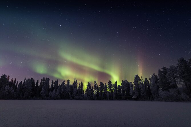Best Of Lapland: Sauna, Ice swimming, Dinner & Northern Lights - Who will enjoy this experience most