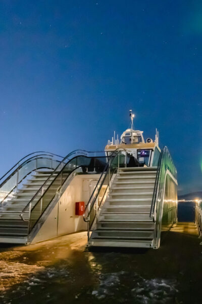 Bodø: Northern Lights Cruise