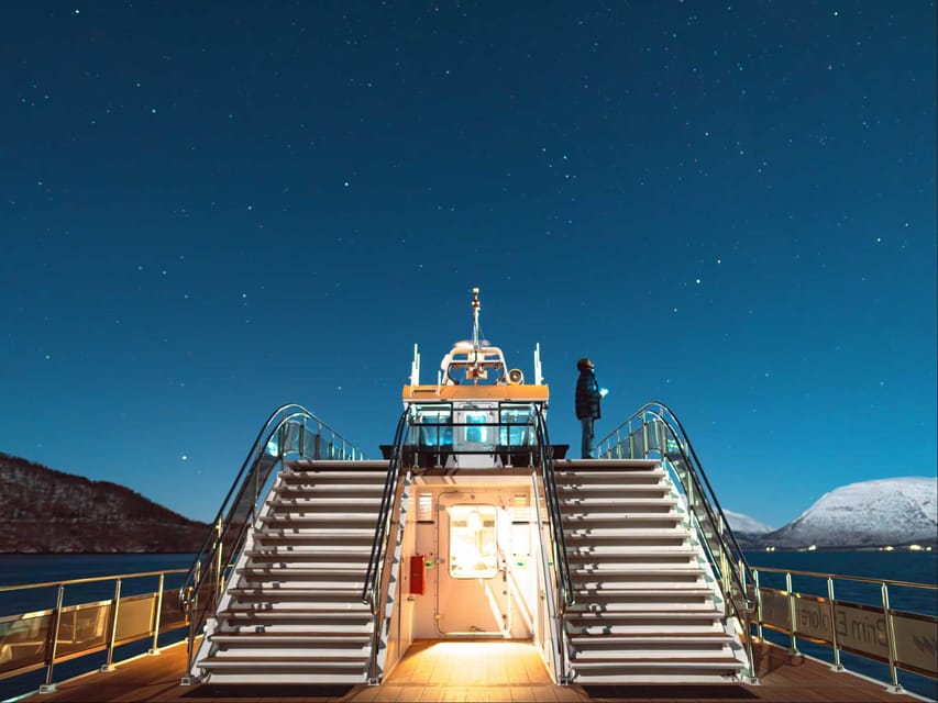 Bodø: Northern Lights Cruise - Is $103 a fair price?