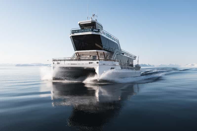 Bodø: Northern Lights Cruise - FAQ