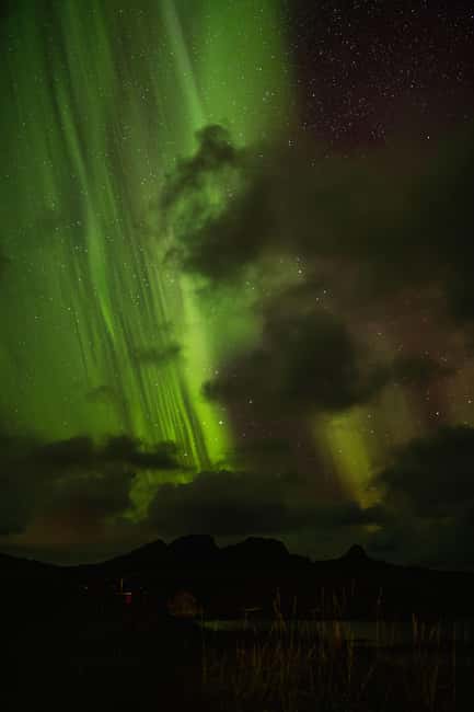 Bodø: Northern Lights safari - The first viewpoint, 30 minutes in the cold