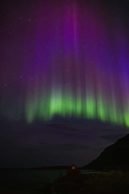 Bodø: Northern Lights safari - What the guide adds to the night