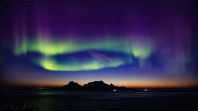 Bodø: Northern Lights safari