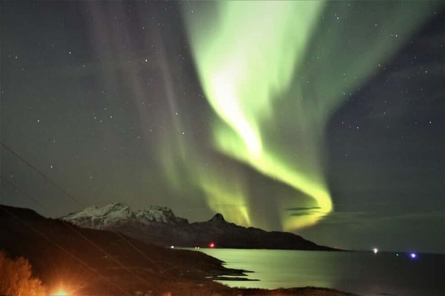 Bodø: Northern Lights safari - Who should book this Bodø night safari?