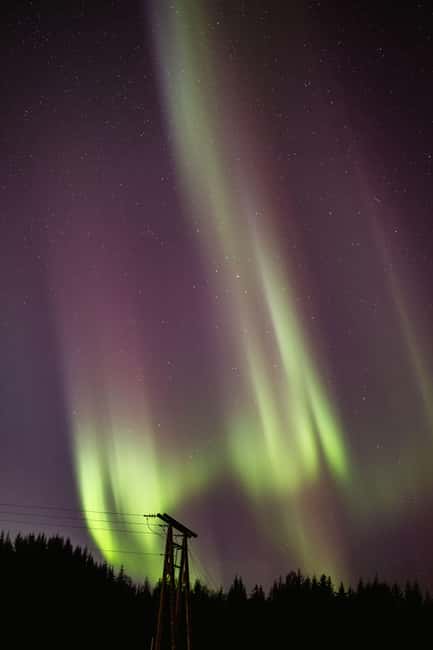 Bodø: Northern Lights safari - Booking details worth knowing