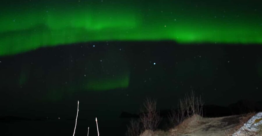 Chase the Magic of the Northern Lights in Tromsø Norway - Key points at a glance