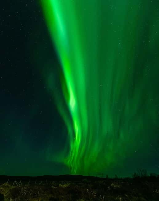 Experience the majestic Auroras Kiruna-Abisko & lodge dinner - Is $255 per person fair value?