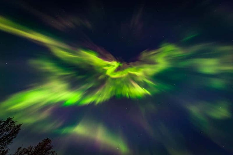 Experience the majestic Auroras Kiruna-Abisko & lodge dinner - Practical details that can make the night smoother