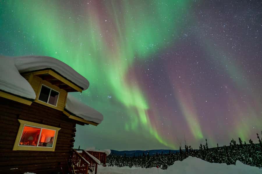 Fairbanks: Aurora Borealis Northern Lights Tour - Why Fairbanks is a strong base for aurora hunting