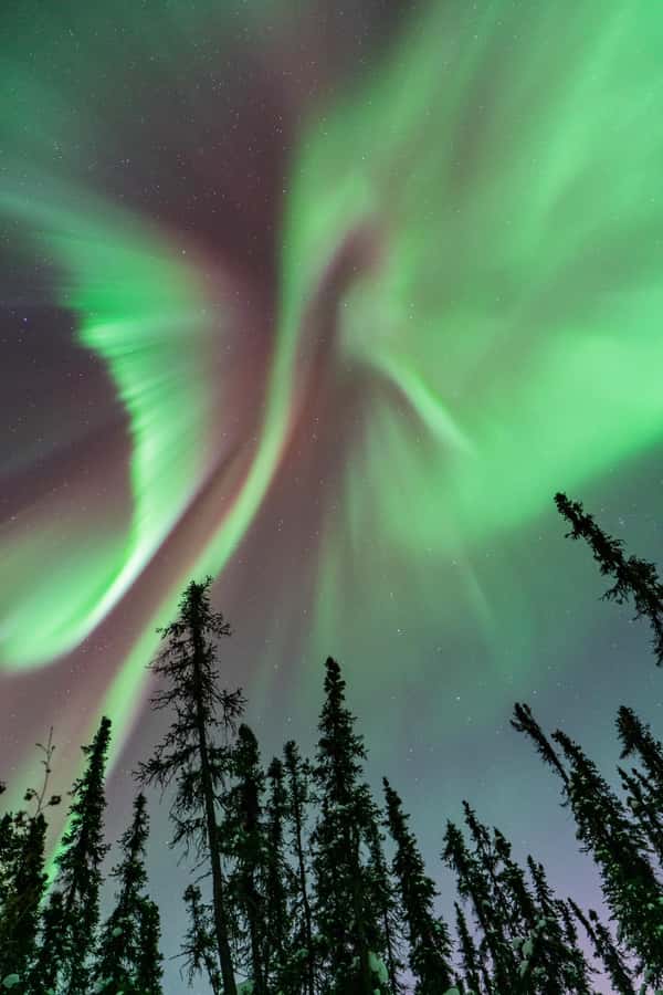 Fairbanks: Aurora Borealis Northern Lights Tour - How the six-hour aurora chase works