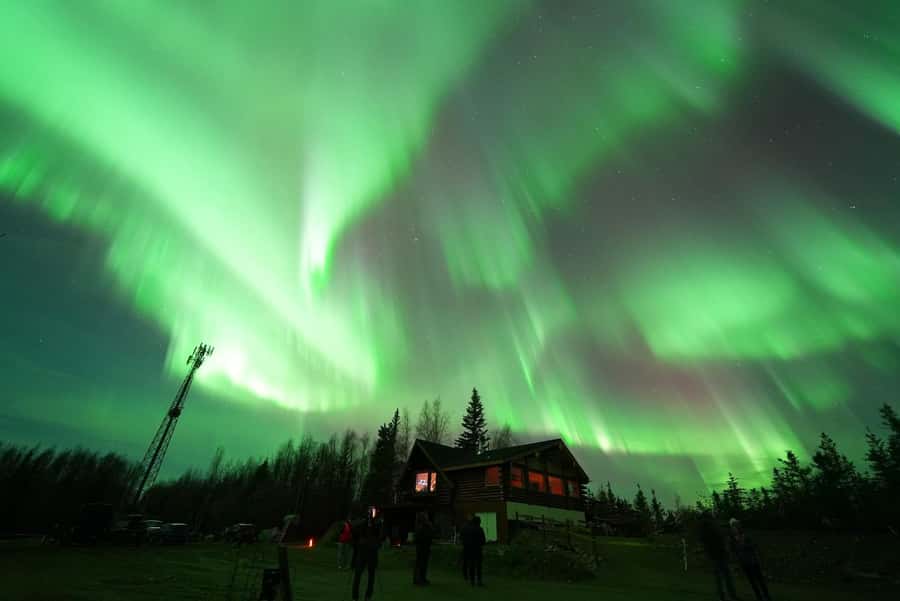 Fairbanks: Aurora Husky Lodge Aurora Viewing Tour - Key points to know before booking