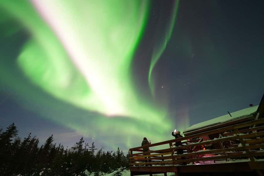 Fairbanks: Aurora Husky Lodge Aurora Viewing Tour - Arriving at Aurora Husky Lodge