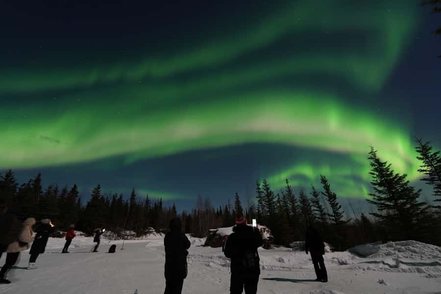 Fairbanks: Aurora Husky Lodge Aurora Viewing Tour - What the $130 price includes