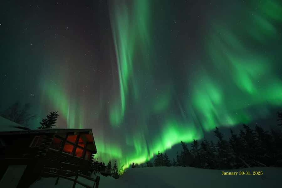 Fairbanks: Aurora Husky Lodge Aurora Viewing Tour - Who will enjoy this tour most